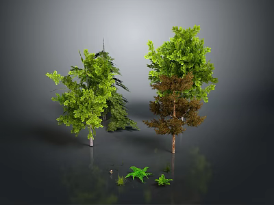 Various Green And Brown Trees With Small Plants On Gray Background With Ground Reflection 3d model