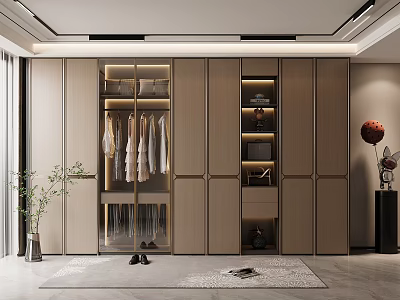 Modern Wooden Wardrobe Interior With Hanging Area Drawers LED Lighting And Room Plants 3d model