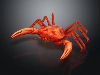 Red Crab With Large Claws On Black Background And Shiny Reflection 3d model