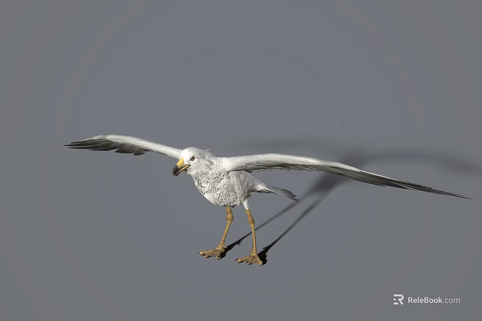 Realistic White Flying Bird with Spreading Wings Yellow Beak and Legs on Gray Background 3d model 