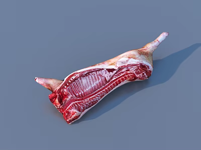 Fresh Uncooked Raw Lamb Leg With Visible Meat Texture And Fat Layers 3d model