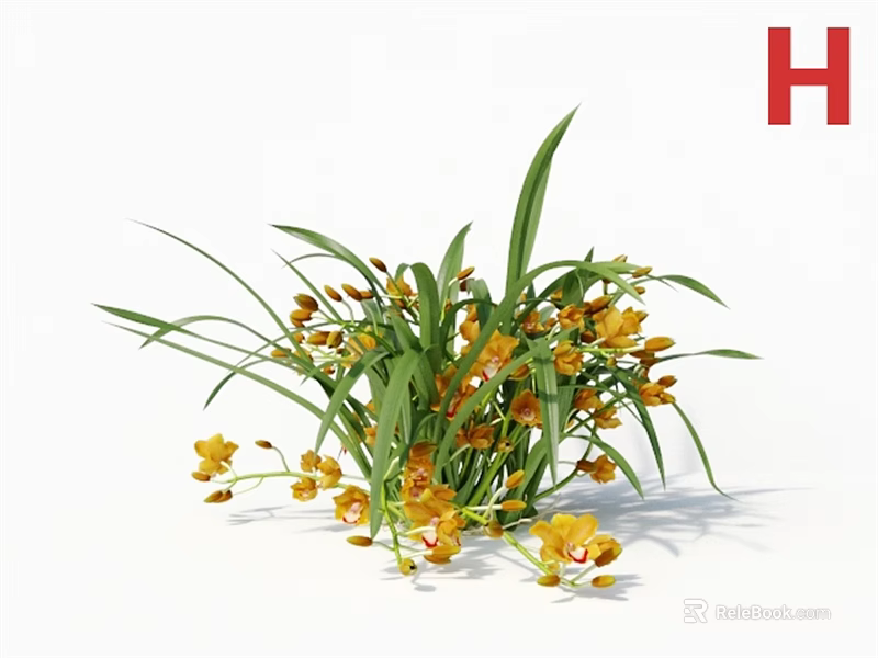 Elegant 3D Rendered Yellow Orchids With Long Green Leaves 3d model 
