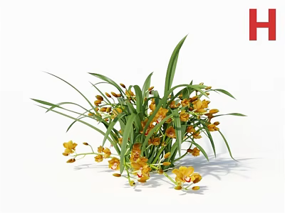Elegant 3D Rendered Yellow Orchids With Long Green Leaves 3d model