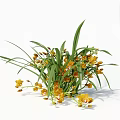 Elegant 3D Rendered Yellow Orchids With Long Green Leaves