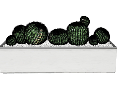 Modern potted plant cactus model