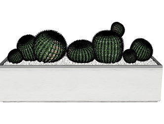 Modern potted plant cactus 3d model