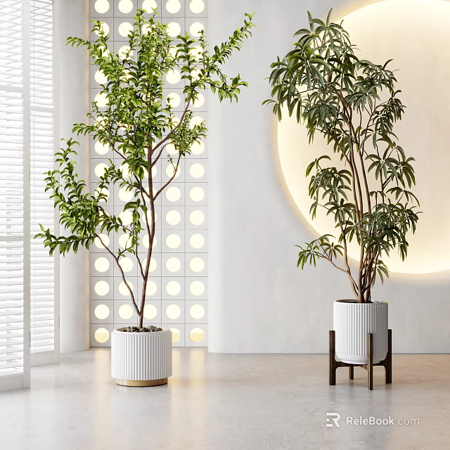 Modern Indoor Decorative Plant Arrangement with Green Trees White Pots and Circular Light 3d model 