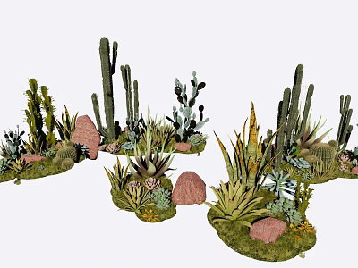 Various Decorative Cactus And Succulent Plants With Stones And Green Grass 3d model