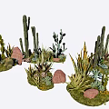 Various Decorative Cactus And Succulent Plants With Stones And Green Grass