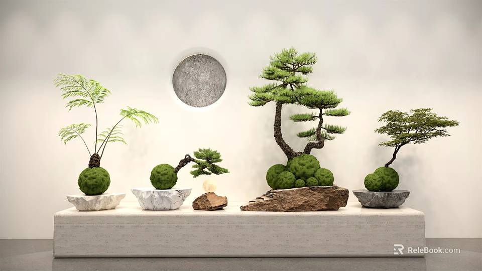 Stylish Bonsai Potted Plants with Various Shapes on Display Shelf and Circular Wall Decor 3d model 
