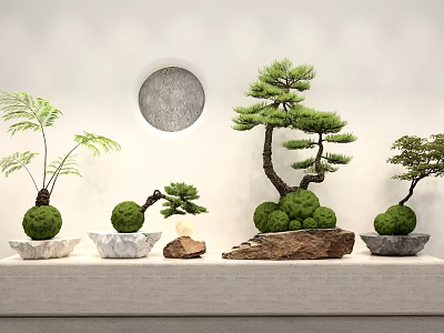 Stylish Bonsai Potted Plants with Various Shapes on Display Shelf and Circular Wall Decor 3d model