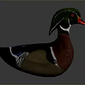 Colorful Decorative Duck Figurine With Green Head Red Beak Shiny Surface And Reflection