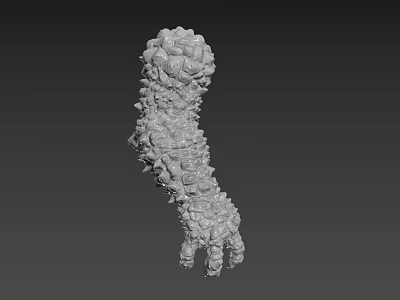 Detailed Creature Limb 3D Model With Textured Surface And Protruding Structures 3d model
