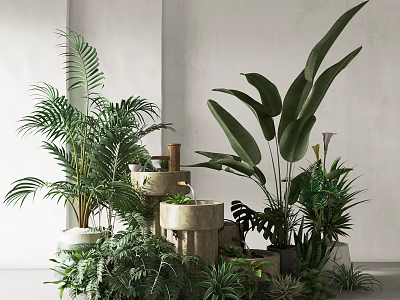Indoor Green Plants Display With Palm Large Leaves And Stone Decorative Containers 3d model