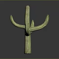Green Branched Cactus Plant with Textured Stem and Natural Shape