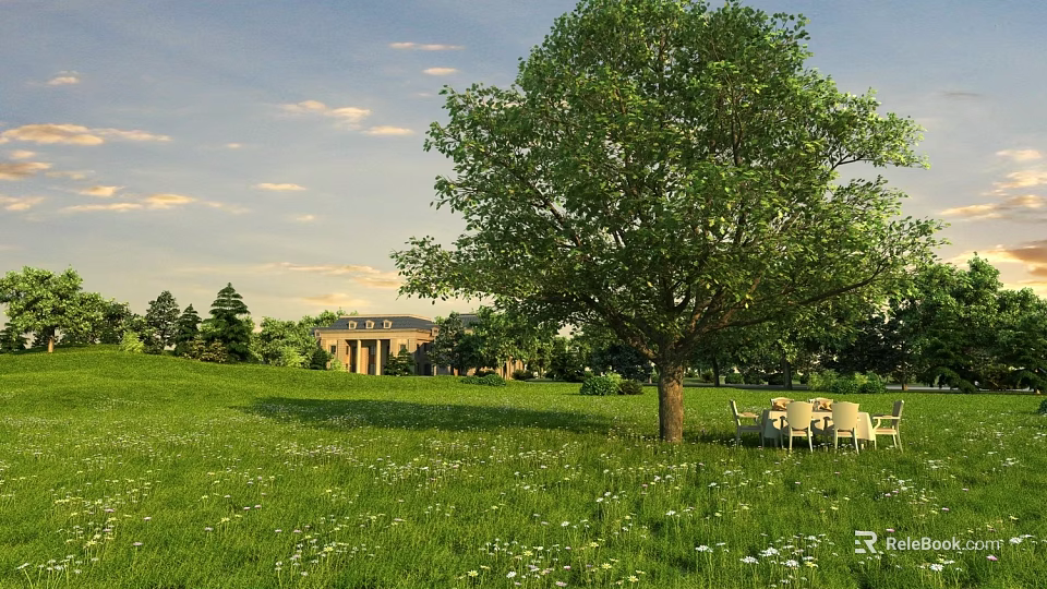 Tall Deciduous Tree In Green Meadow With Outdoor Seating Distant House And Blue Sky 3d model 