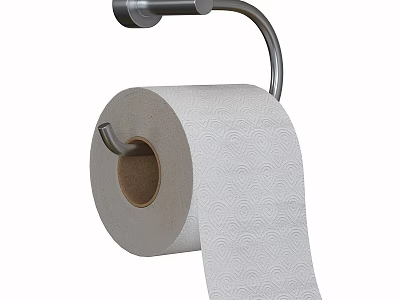 Stainless Steel Toilet Paper Holder With Patterned Toilet Paper Roll 3d model