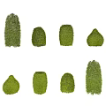 Neatly Trimmed Various Shaped Lush Green Shrubs for Outdoor Garden Landscaping
