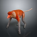 Realistic Red Faced Monkey 3D Model With Orange Fur Long Tail And Grey Limbs 3d model