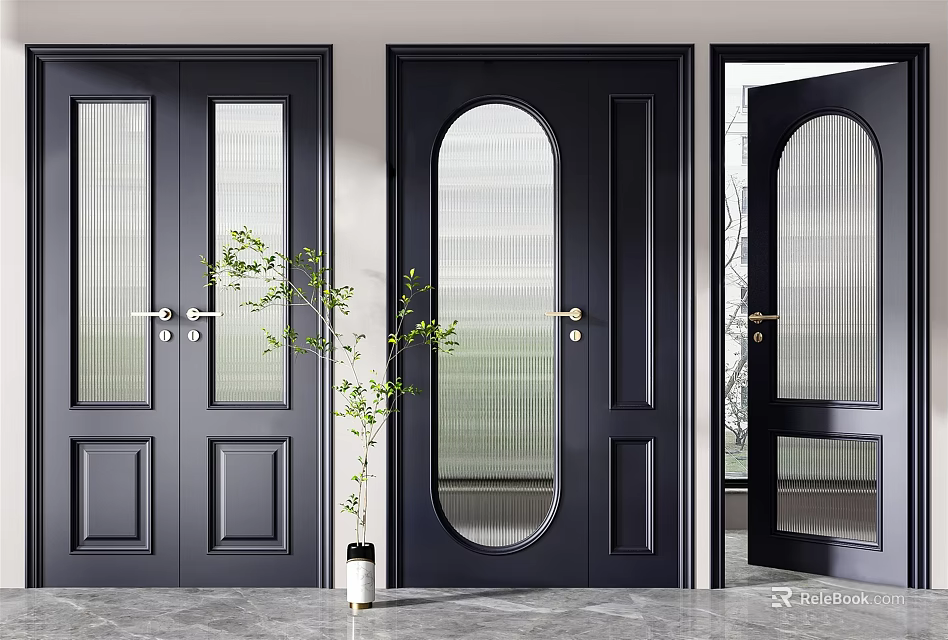 Modern Black Hinged Doors With Glass Panels And Green Plant In Interior 3d model 