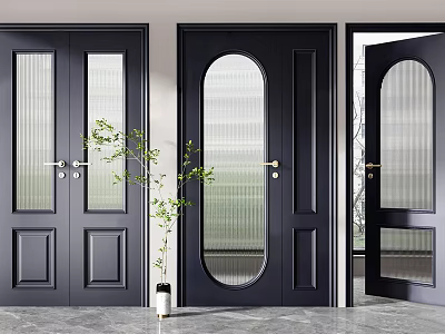 Modern Black Hinged Doors With Glass Panels And Green Plant In Interior 3d model