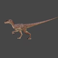 Realistic Velociraptor Dinosaur 3D Model With Brown Stripes And Yellow Eyes