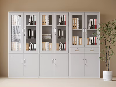 White Glass Door Bookcase With Folders And Books On Multiple Shelves Next To Potted Plant 3d model