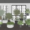 Indoor Various Potted Plants With Black And Gray Pots Near Window Building View