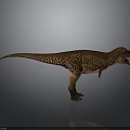 Tyrannosaurus Rex Dinosaur Model With Spotted Skin Open Mouth And Tail On Gray Background