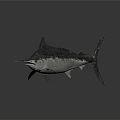 Modern Black Gunfish Dark Marlin 3d model