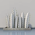 Bonsai Plant with White Cactus Like Stems and Golden Thorns in Gray Concrete Pot