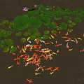 Waterside Landscape With Green Lotus Leaves Pink Flowers And Swimming Koi Fish