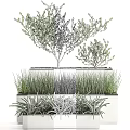 Bonsai Potted Plants With Small Trees Grasses And Succulents In Layered Containers
