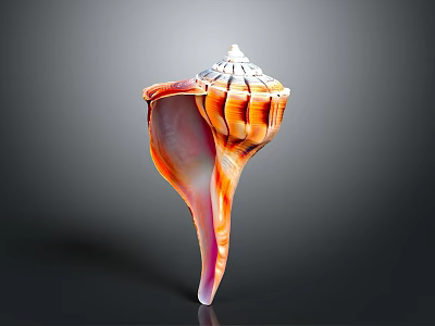 Orange And White Striped Spiral Conch Shell With Natural Marine Texture 3d model