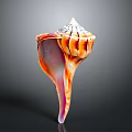 Orange And White Striped Spiral Conch Shell With Natural Marine Texture