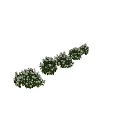 Decorative Ornament Set With White Hydrangea Flowers Green Leaves Height 1.1 To 1.15 Meters