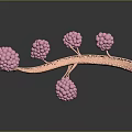 Detailed Biological Tissue System Featuring Branching Structures And Pink Cellular Clusters