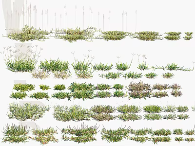 Showcasing Different Grass and Small Plants Various Growth Patterns Green Tones Ground Cover Lawn Samples 3d model