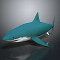 Blue Green Shark 3D Model With White Underbelly And Fins On Gray Surface