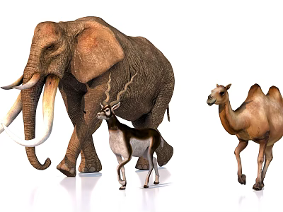 Realistic Elephant Antelope And Camel Figurines Standing On White Surface 3d model