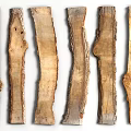 Six Natural Rustic Wood Slabs With Stone Like Texture And Organic Grain Details