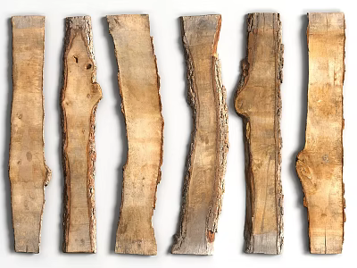 Six Natural Rustic Wood Slabs With Stone Like Texture And Organic Grain Details 3d model
