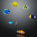 Colorful Tropical Fish Swimming With Vibrant Colors Different Species And Patterns