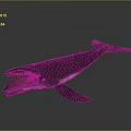 Realistic Dark Colored Whale Model With Open Mouth On Gray Surface 3d model