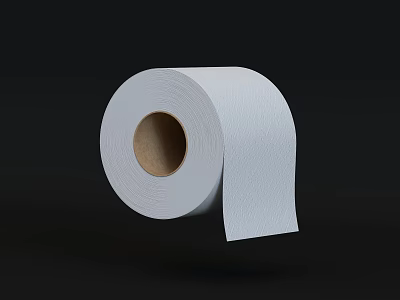 Soft Absorbent Toilet Paper Roll For Household Daily Washing And Cleaning Use 3d model