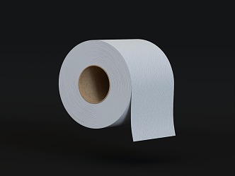 Toilet Paper Tissue Roll Paper Wipes Toilet Paper Tissue Box Sanitary Supplies Household Supplies Consumables 3d model