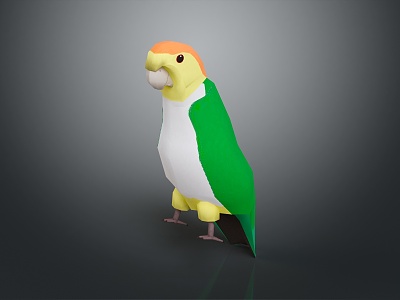 parrot xuanfeng parrot budgerigar monk parrot little sun parrot peony parrot senegal parrot 3d model