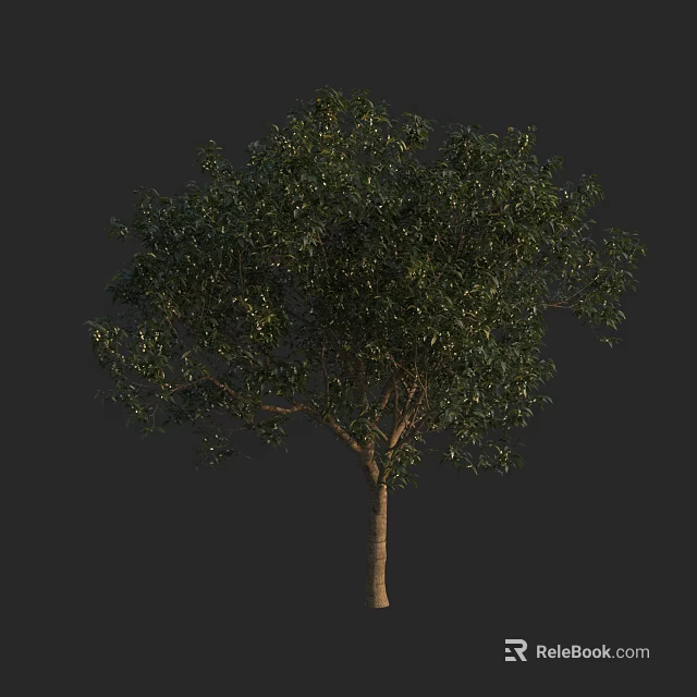 Vibrant Arbor With Lush Green Foliage And Solid Trunk In Clear 3d model 