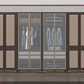 Elegant Modern Wooden Wardrobe With Glass Doors And Hanging Clothes Inside