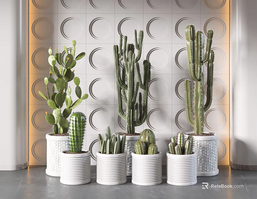 Potted Cacti And Succulent Plants In White Decorative Pots With Modern Wall Background 3d model 